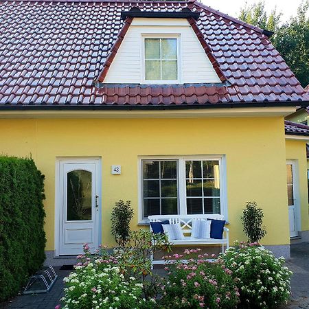 Am Deich 43 Zingst Exterior foto